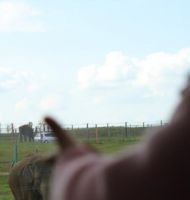 img_2111_0